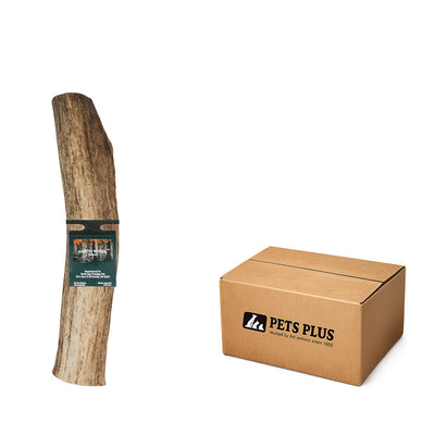 Vista Point Whole Elk Antler - XL - Case of 10
