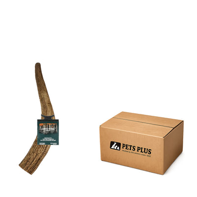 Vista Point Whole Elk Antler - Medium - Case of 20
