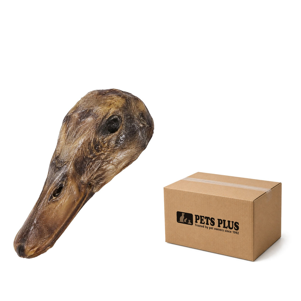 North Winds Premium Duck Head, case of 20, with a Pets Plus shipping case